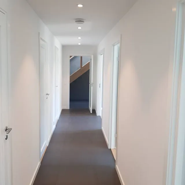 Ferdigstilt malingsprosjekt i ny enebolig
